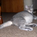 Nikita mit Babybauch, 2008