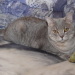Nikita, 2009