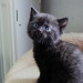 Klara, mit 5 Wochen, Tiffanys Bab...