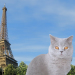 Sissy in Paris