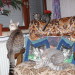 Die drei Tabbys