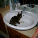 Baby Becky bei der Morgentoilette