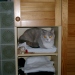 Lexie im Wäscheschrank