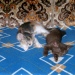 Baby Aimee und Baby Becky 2005