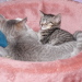 Nicki und Tiffany zusammen