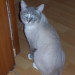 Silver der Papa von Aimee, Becky,...
