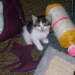 Aimee´s Tochter Juna 2006