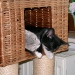 Aimee´s Sohn Joe und Nicki schla...