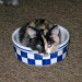 Aimee´s Tochter Angel im Wassern...