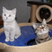 Kimberly und Tiffany beim Spielen