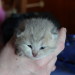 Nikita´s Leila, 1 Woche