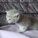 Nikita´s Portos, 3 Wochen