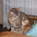 Nico mit seiner Tochter Candice