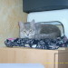 Emily, Tochter von Nikita