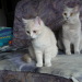 Kimberly und Samantha beim Spielen